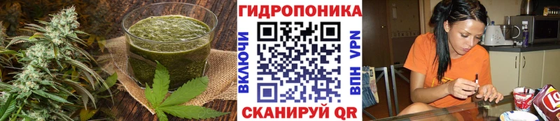 Печенье с ТГК конопля  Купить где  Жиздра 